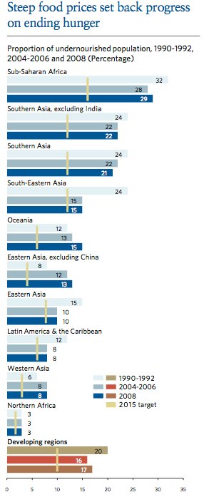 MDG 2009 - Ending Hunger. Grafik: UNO
